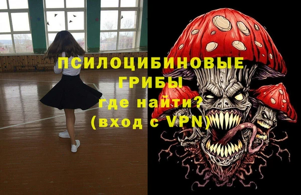индика Арсеньев