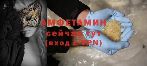 индика Арсеньев