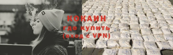 индика Арсеньев