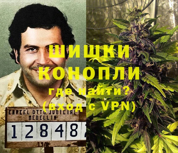 стафф Михайлов
