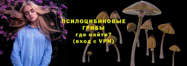 индика Арсеньев