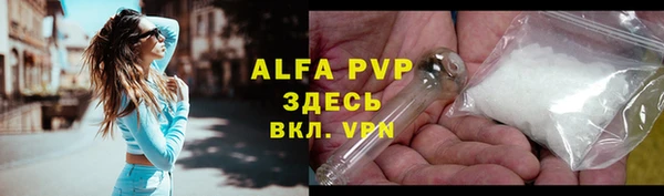 индика Арсеньев