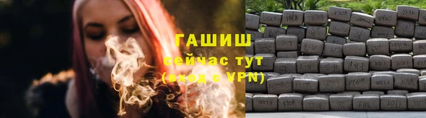 крисы Армянск
