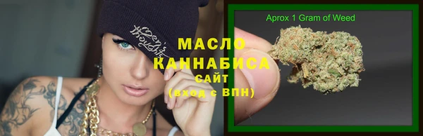 индика Арсеньев