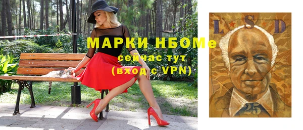 индика Арсеньев