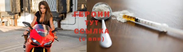 индика Арсеньев