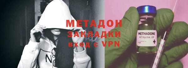 индика Арсеньев