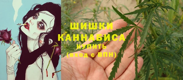 крисы Армянск