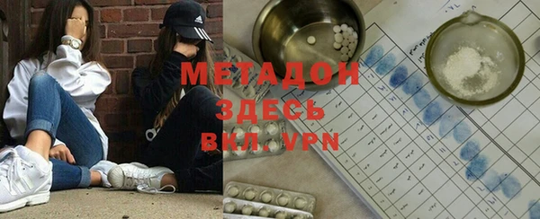 индика Арсеньев