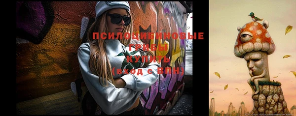 индика Арсеньев