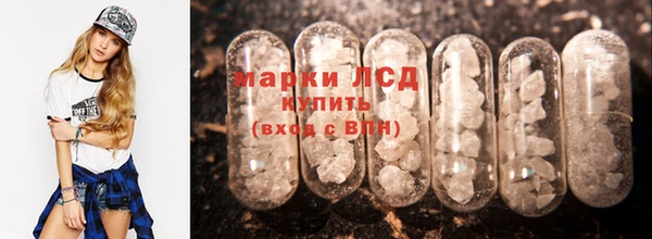 индика Арсеньев